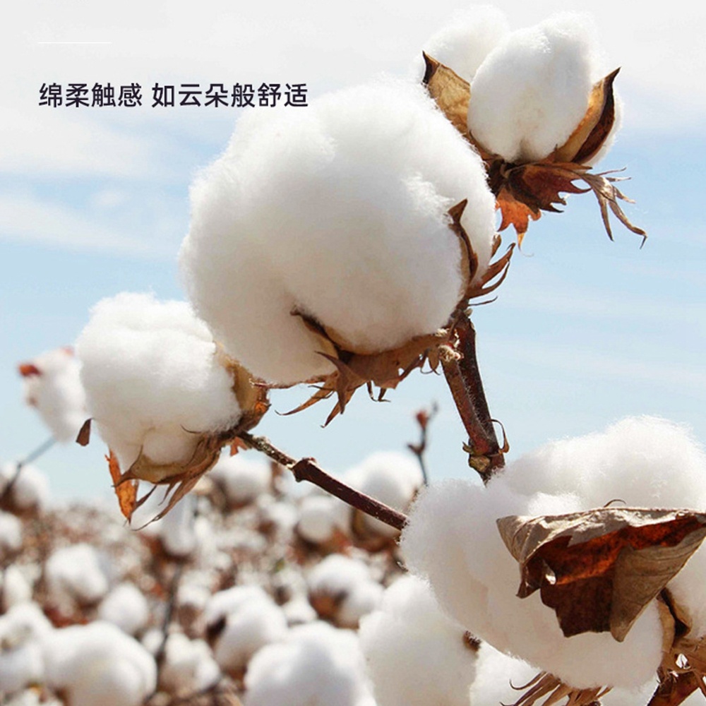 5,0/3,0/2,5 mm rubberen kop, b - Cotton Wick Organic recensie en prijs
